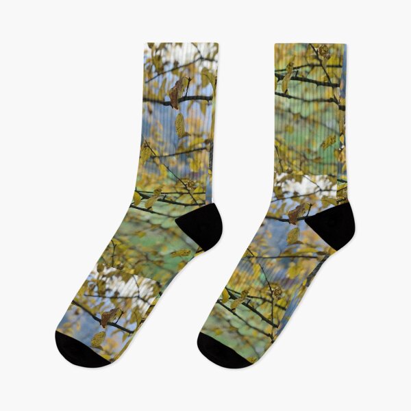 Item preview, Autumn trees designed and sold by thewhalewhaley.