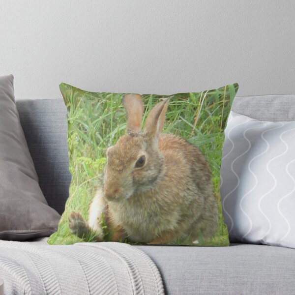 Item preview, Oops! Gotta Scratch! designed and sold by Navigator.