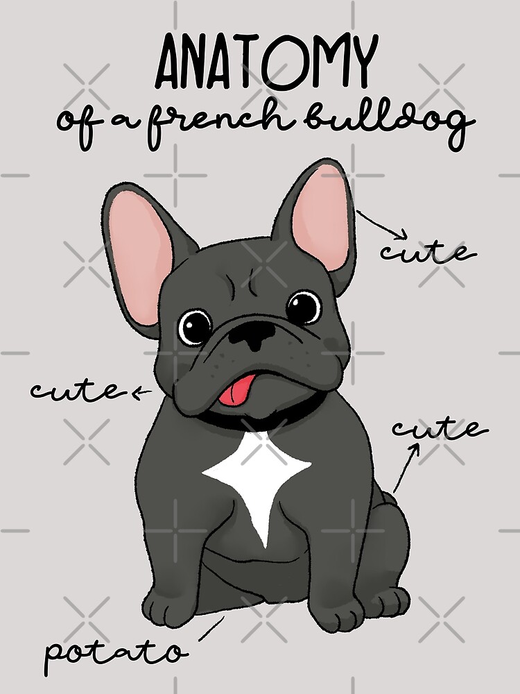 "Anatomy of a french bulldog" Poster for Sale by ursulalopez Redbubble