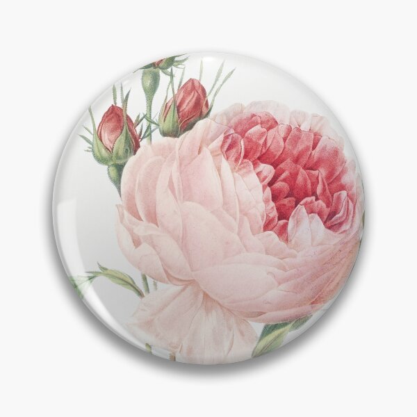 Item preview, Painted pink cabbage roses round stickers designed and sold by wavethreat.