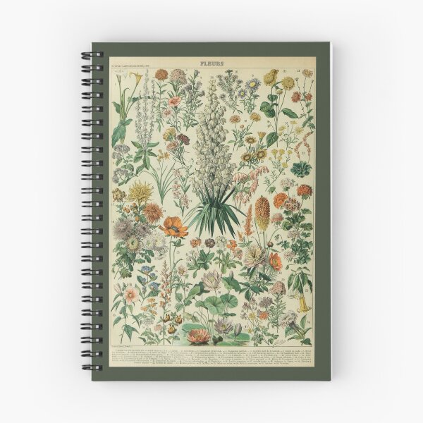 Item preview, Adolphe Millot Fleurs 2 - Vintage Floral Identity Illustration designed and sold by molamode.