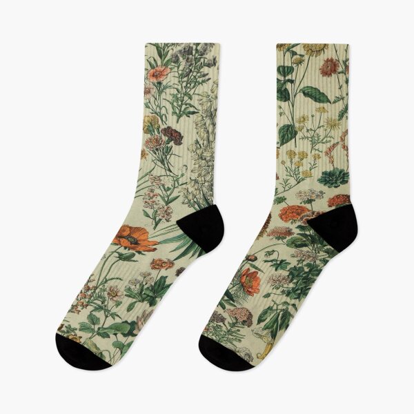 Item preview, Adolphe Millot Fleurs 2 - Vintage Floral Identity Illustration designed and sold by molamode.
