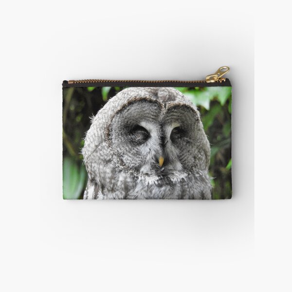 Item preview, Sleepy owl  designed and sold by StudioCorvid.