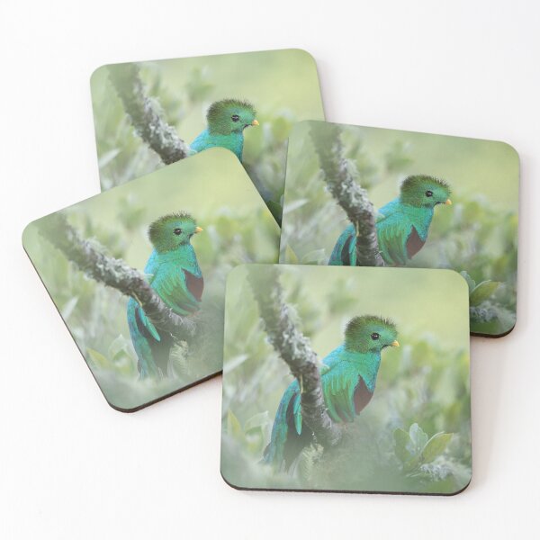 Item preview, Resplendent Quetzal designed and sold by mlorenz.