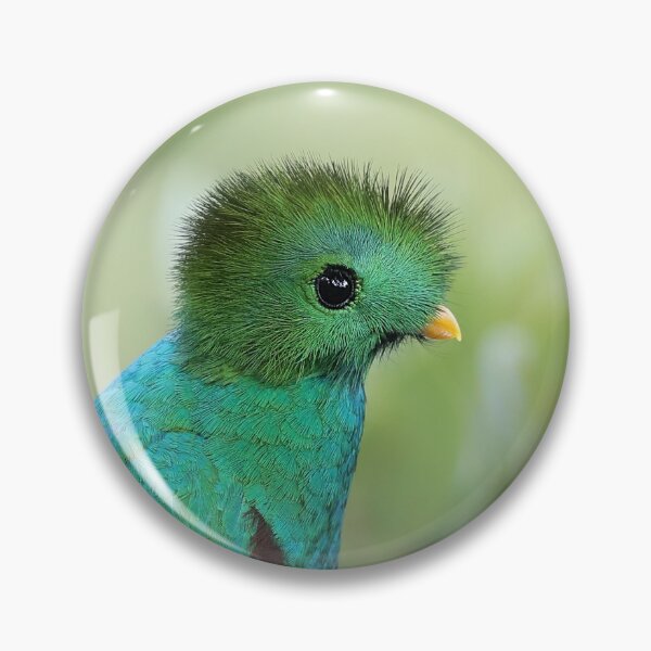 Item preview, Resplendent Quetzal designed and sold by mlorenz.