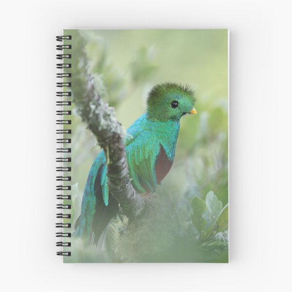 Item preview, Resplendent Quetzal designed and sold by mlorenz.