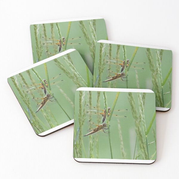 Item preview, Four Spotted Chaser Roost designed and sold by LaurenTucker.