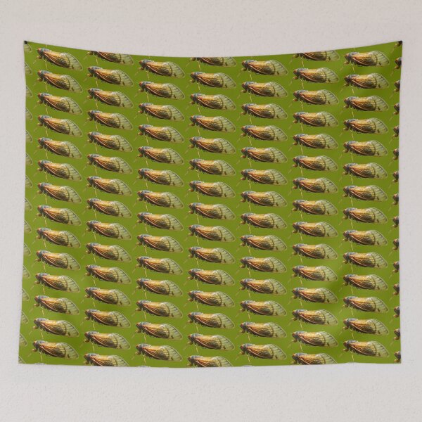 Item preview, Cicada designed and sold by Biology Simulations.