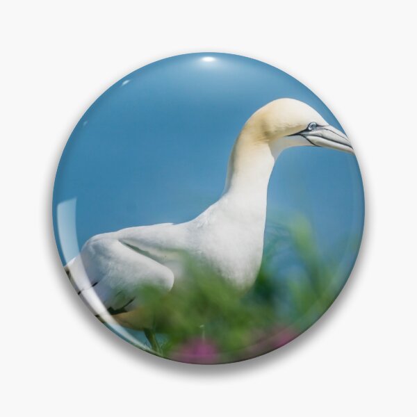 Item preview, Summer Gannet designed and sold by RichardSayer.