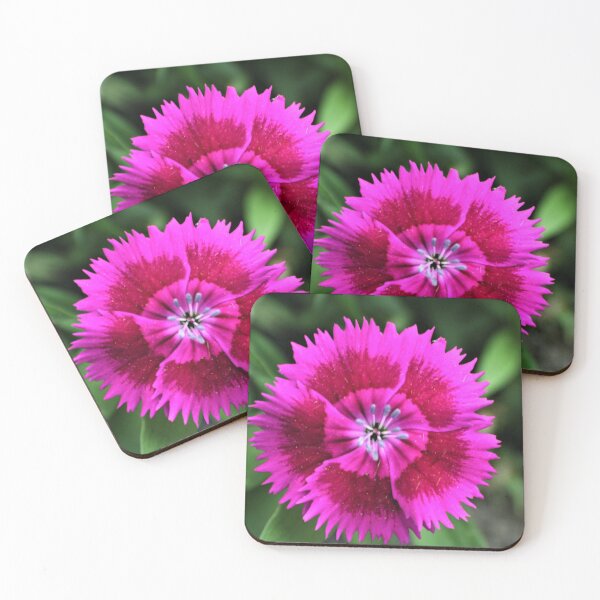 Item preview, Button designed and sold by Thomas M Broderick.