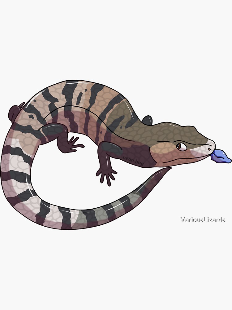 Thumbnail 3 of 3, Sticker, Blue Tongue Skink designed and sold by VariousLizards.