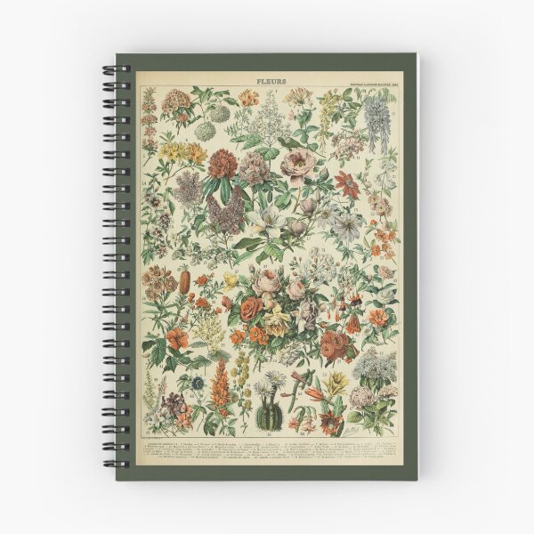 Item preview, Adolphe Millot Fleurs 3 - Vintage Flower Illustration and Identification designed and sold by molamode.