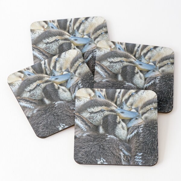Item preview, Mallard Ducklings, Madison, Wisconsin designed and sold by StevenRalserPhoto.