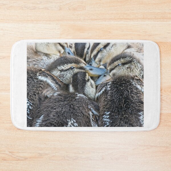 Item preview, Mallard Ducklings, Madison, Wisconsin designed and sold by StevenRalserPhoto.