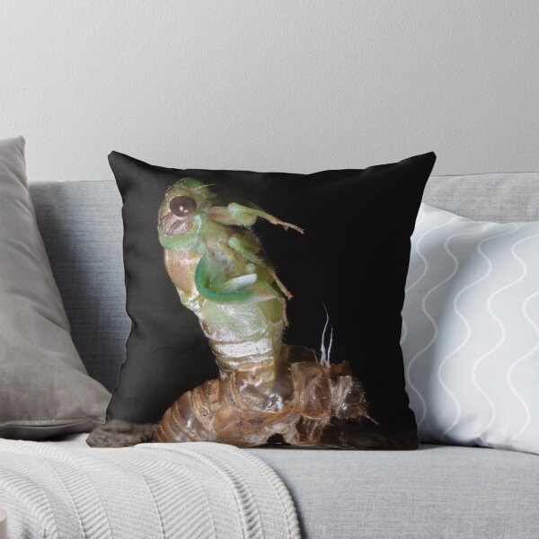 Item preview, New Life designed and sold by Pandrot.