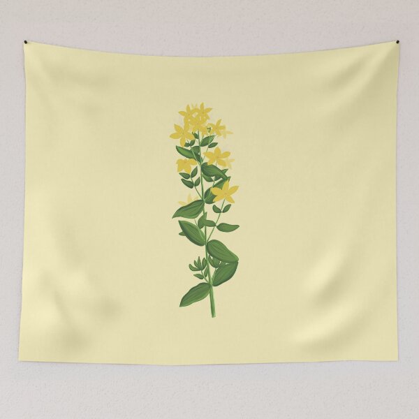 Item preview, St. John's wort botanical drawing designed and sold by Luaillustration.