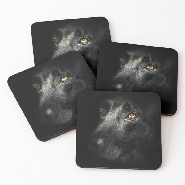 Item preview, Black Labrador designed and sold by John Dewar.