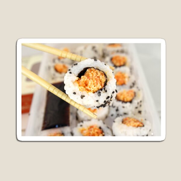 Let Me See That Sushi Roll! Magnet