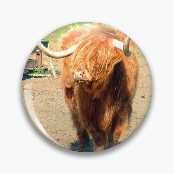 Item preview, Heilan Coo II designed and sold by tomg.