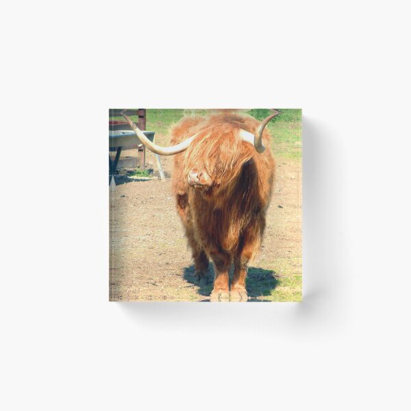 Item preview, Heilan Coo II designed and sold by tomg.