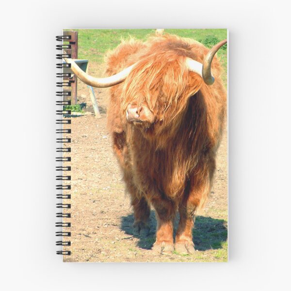 Item preview, Heilan Coo II designed and sold by tomg.