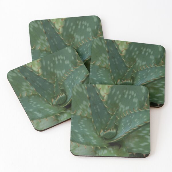 Item preview, Aloe There! designed and sold by AGODIPhoto.