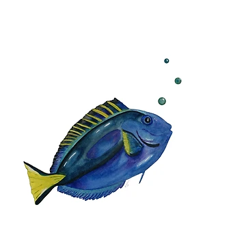 Artwork thumbnail, Blue Tang fish by ColorSplendor