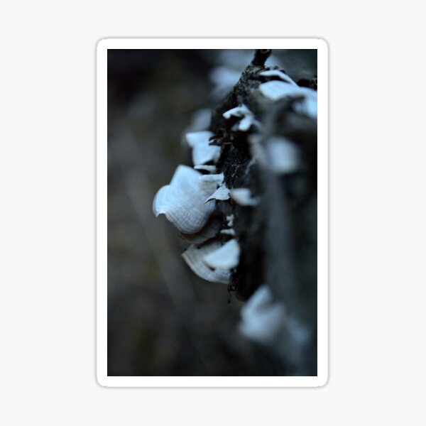 Item preview, Moody Mushroom designed and sold by Alexandria Gale.