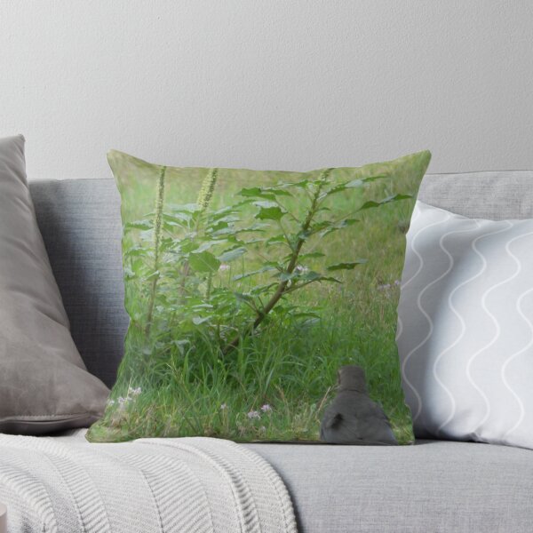 Item preview, What Are You Looking At? designed and sold by Navigator.