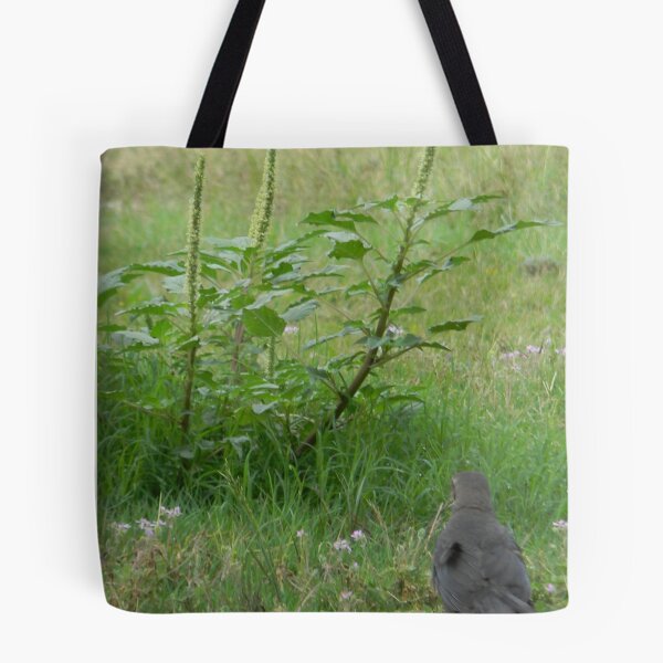 Item preview, What Are You Looking At? designed and sold by Navigator.