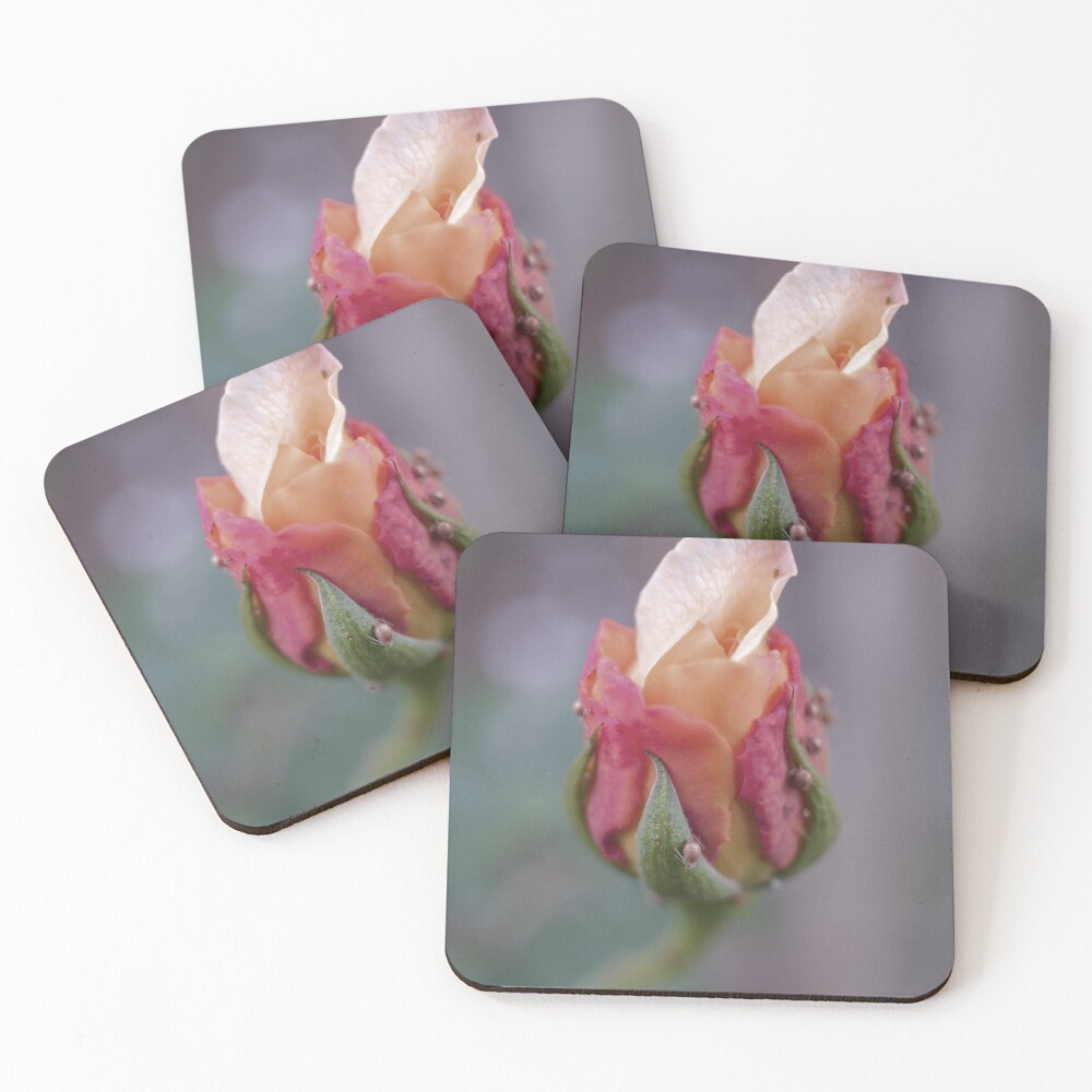 Item preview, Coasters (Set of 4) designed and sold by GFPhotography.