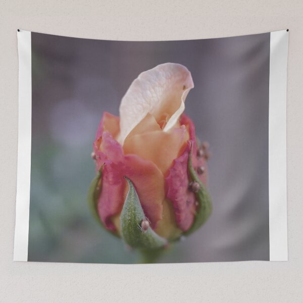 Aperçu de l'œuvre Rose rustique créée et vendue par GFPhotography.