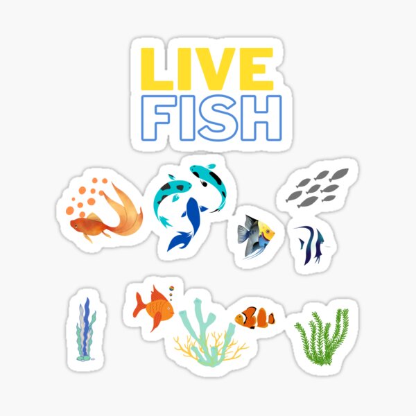 peixes de animais vivos pouco Sticker