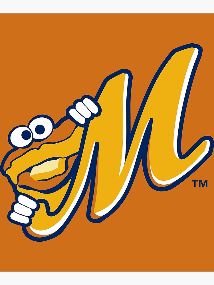 Montgomery Biscuits-jersey | Poster