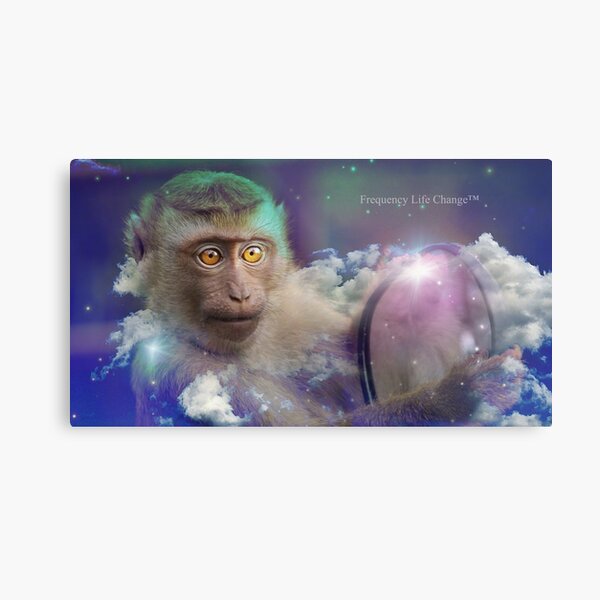 Calm the Monkey Mind Metal Print