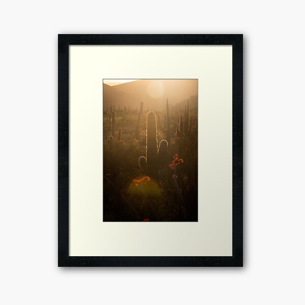 Saguaro Views Vertical Framed Art Print
