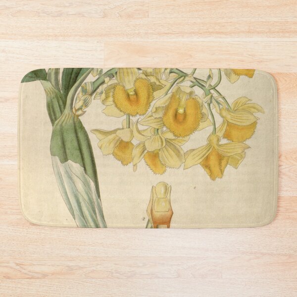 Item preview, Dendrobium densiflorum Curtis' 62 (N.S. 9) pl. 3418 (1835) designed and sold by EsotericBotanic.