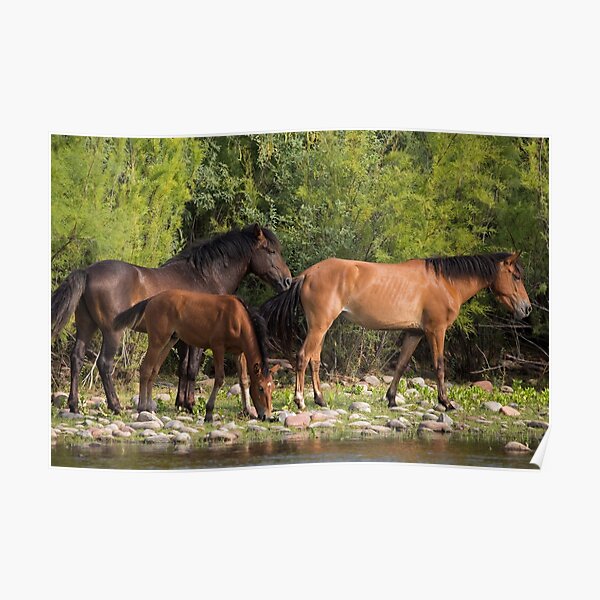 Family Time on the River Poster