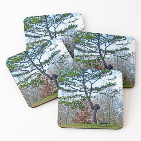 Item preview, Knotted Pine designed and sold by Frankie Cat Photography.