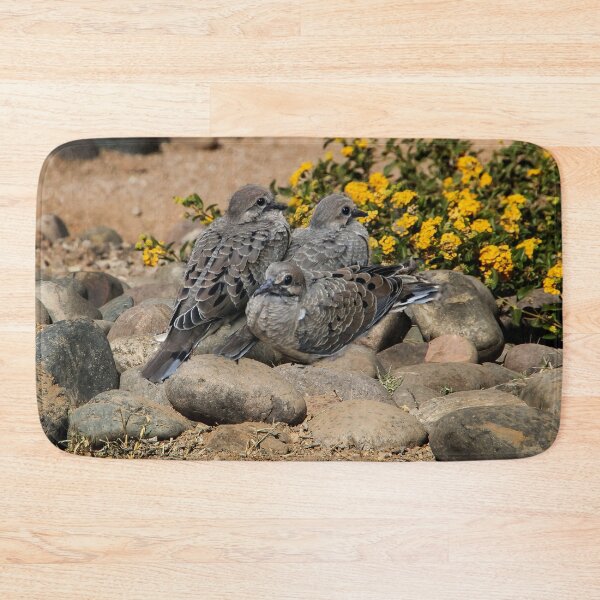 Item preview, Baby Doves on the Rocks! designed and sold by heatherfriedman.