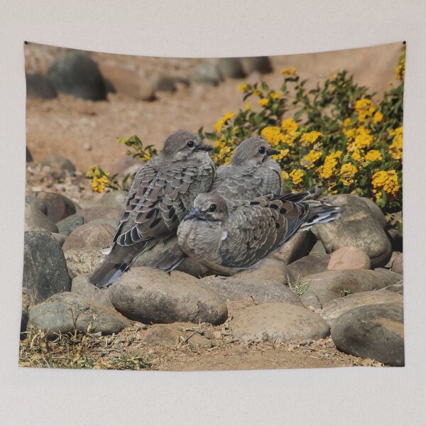 Item preview, Baby Doves on the Rocks! designed and sold by heatherfriedman.