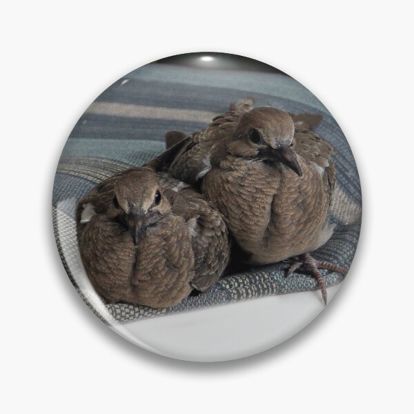 Item preview, Baby Doves On a Chair In the Garden designed and sold by heatherfriedman.