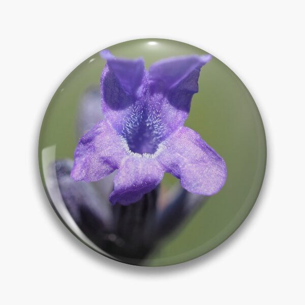 Item preview, Lavender flower close-up designed and sold by SDym Photography.