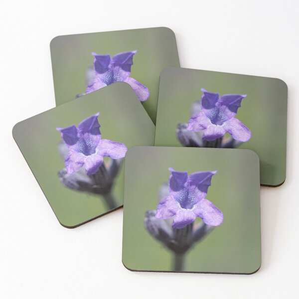 Item preview, Lavender flower close-up designed and sold by SDym Photography.