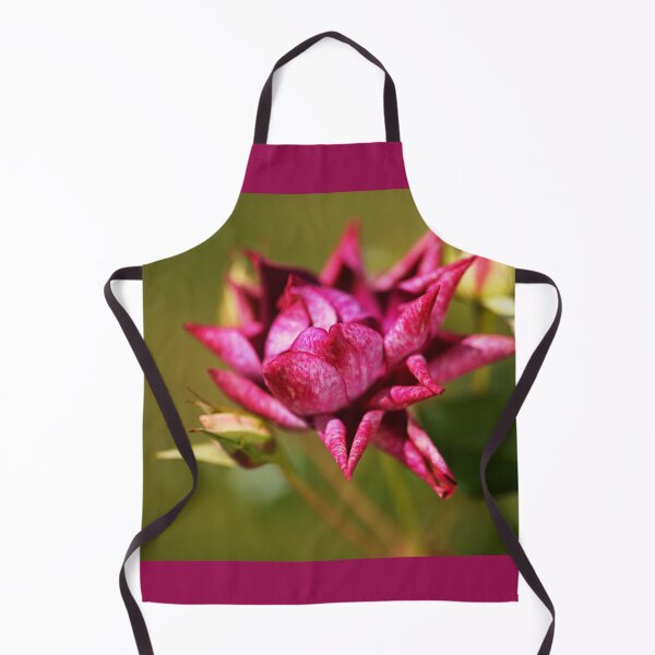 Item preview, Burgundy Rose Curled designed and sold by Joy Watson - Natural Light Photography .
