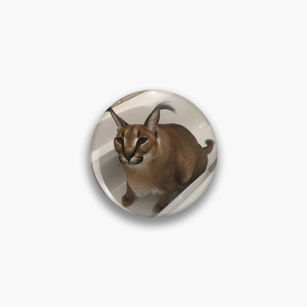 Big Floppa, Cat Meme, Your Balls I Require Them, Cat in the Tub Sticker -   Finland