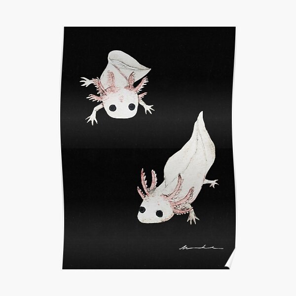 Baby Axolotl Wall Art PrintCute Axolotl Birth Giftframe not included 