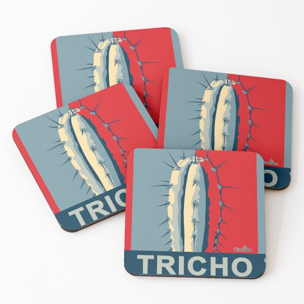 Item preview, Tricho Trichocereus San Pedro designed and sold by Cactee.