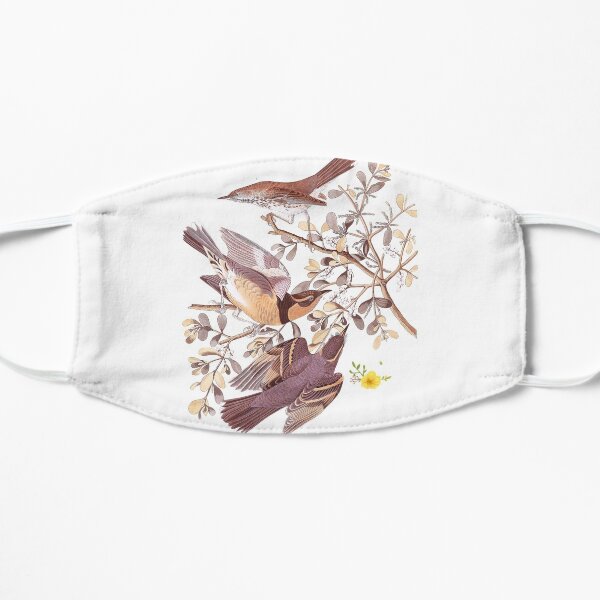 Robin of austria Flat Mask