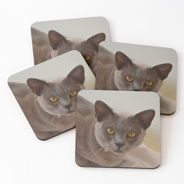 Item preview, One handsome kitty designed and sold by Boxkitty.